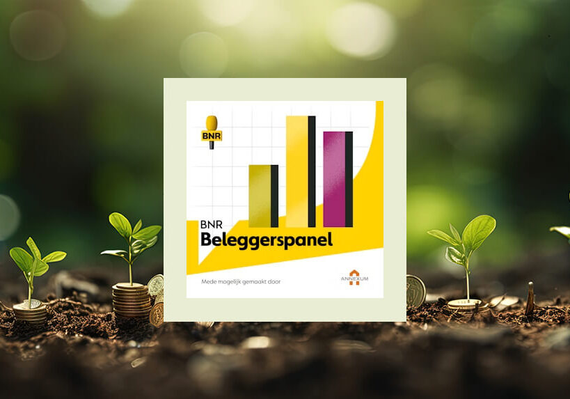 BNR Beleggerspanel – AI-bubbel begint tekenen van barsten te vertonen