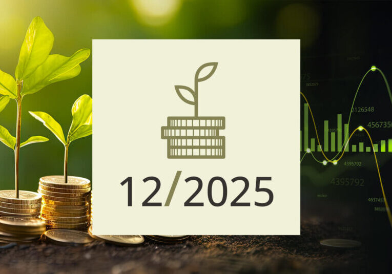 December 2025: Het beste jaar tot nu toe